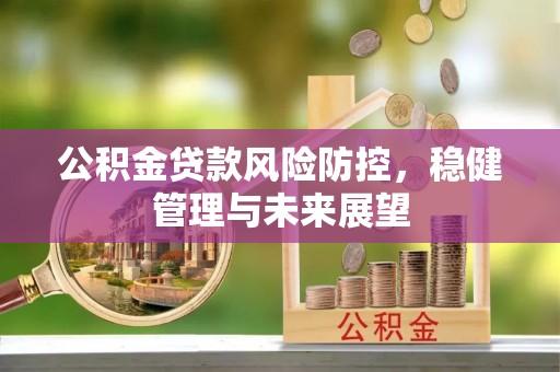 临沧公积金贷款风险防控，稳健管理与未来展望