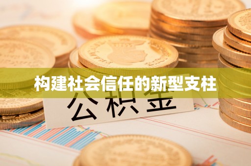 临沧构建社会信任的新型支柱