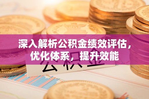 临沧深入解析公积金绩效评估，优化体系，提升效能