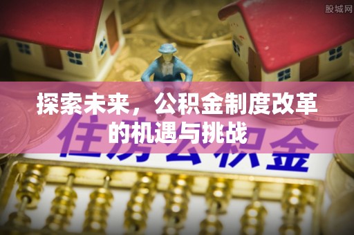 临沧探索未来，公积金制度改革的机遇与挑战
