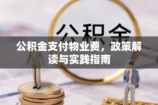 临沧公积金支付物业费，政策解读与实践指南