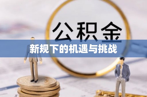 临沧新规下的机遇与挑战