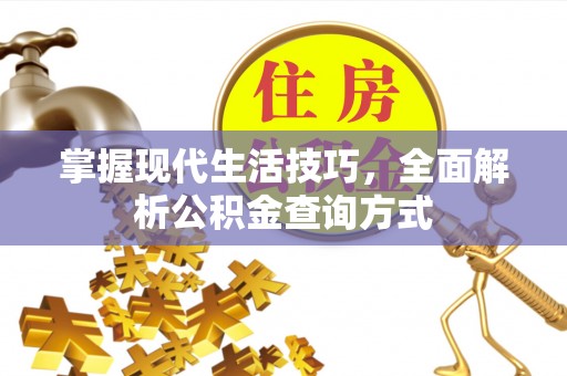临沧掌握现代生活技巧，全面解析公积金查询方式