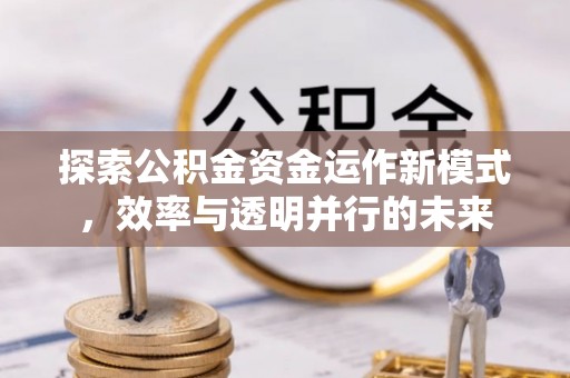 临沧探索公积金资金运作新模式，效率与透明并行的未来