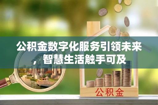 临沧公积金数字化服务引领未来，智慧生活触手可及