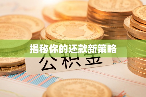 临沧揭秘你的还款新策略
