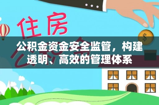 临沧公积金资金安全监管，构建透明、高效的管理体系