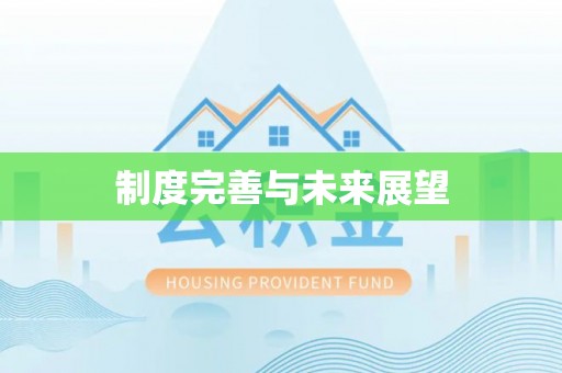 临沧制度完善与未来展望