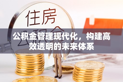 临沧公积金管理现代化，构建高效透明的未来体系