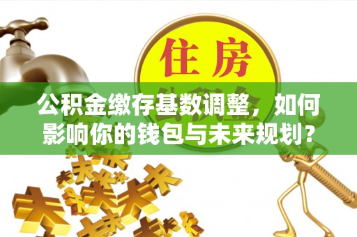 临沧公积金缴存基数调整，如何影响你的钱包与未来规划？