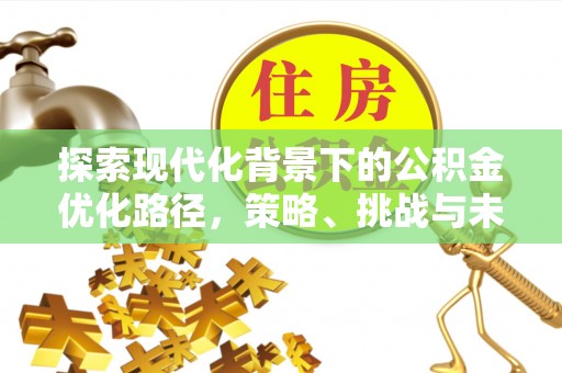 临沧探索现代化背景下的公积金优化路径，策略、挑战与未来展望