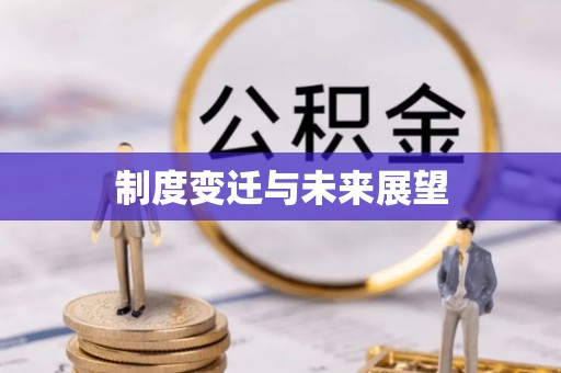 临沧制度变迁与未来展望