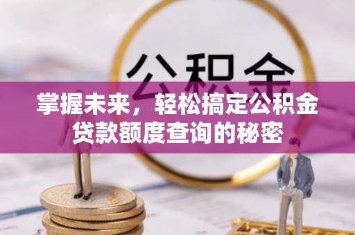 临沧掌握未来，轻松搞定公积金贷款额度查询的秘密