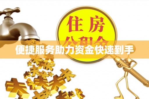 临沧便捷服务助力资金快速到手