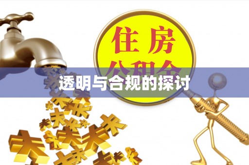 临沧透明与合规的探讨