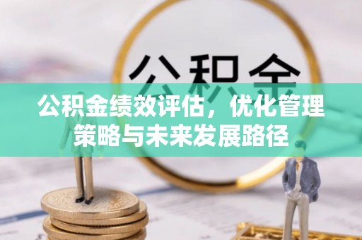 临沧公积金绩效评估，优化管理策略与未来发展路径