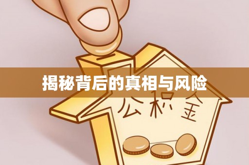 临沧揭秘背后的真相与风险