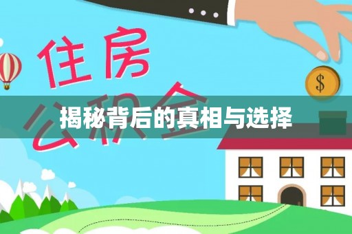 临沧揭秘背后的真相与选择
