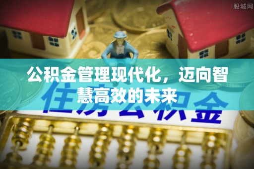 临沧公积金管理现代化，迈向智慧高效的未来