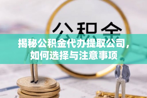临沧揭秘公积金代办提取公司，如何选择与注意事项