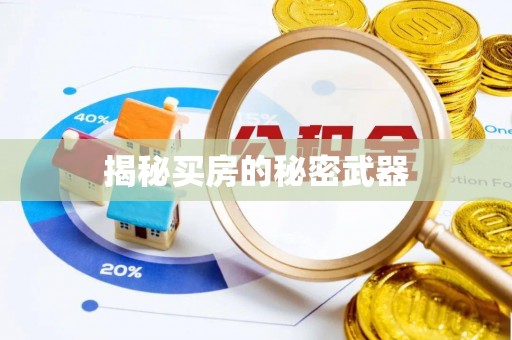 临沧揭秘买房的秘密武器