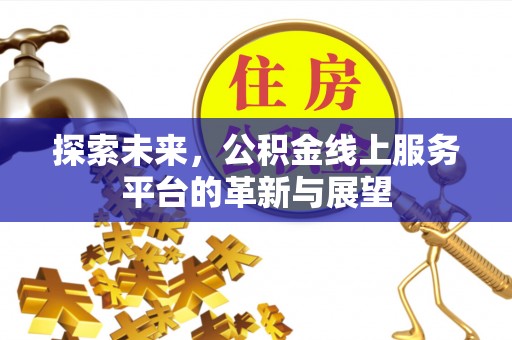 临沧探索未来，公积金线上服务平台的革新与展望