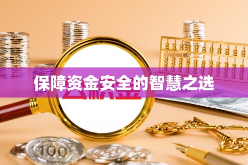 临沧保障资金安全的智慧之选