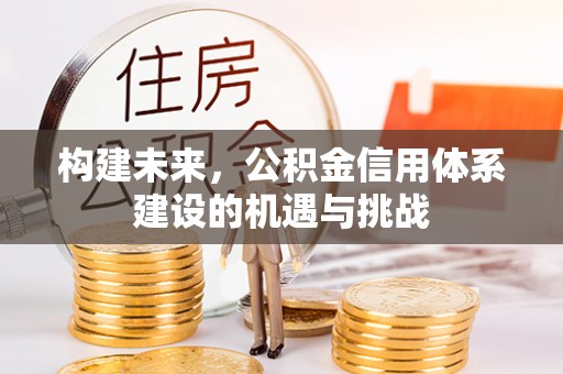 临沧构建未来，公积金信用体系建设的机遇与挑战