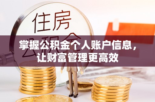 临沧掌握公积金个人账户信息，让财富管理更高效