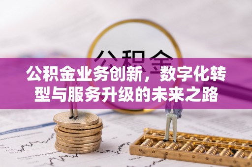 临沧公积金业务创新，数字化转型与服务升级的未来之路