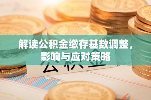 临沧解读公积金缴存基数调整，影响与应对策略