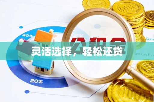 临沧灵活选择，轻松还贷