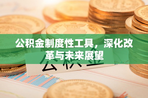临沧公积金制度性工具，深化改革与未来展望