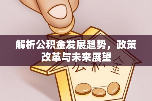 临沧解析公积金发展趋势，政策改革与未来展望