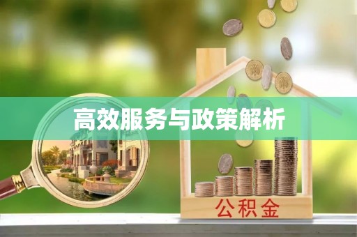 临沧高效服务与政策解析