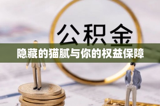 临沧隐藏的猫腻与你的权益保障