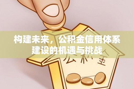 临沧构建未来，公积金信用体系建设的机遇与挑战