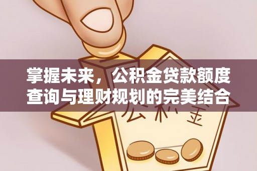 临沧掌握未来，公积金贷款额度查询与理财规划的完美结合