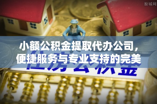 临沧小额公积金提取代办公司，便捷服务与专业支持的完美结合
