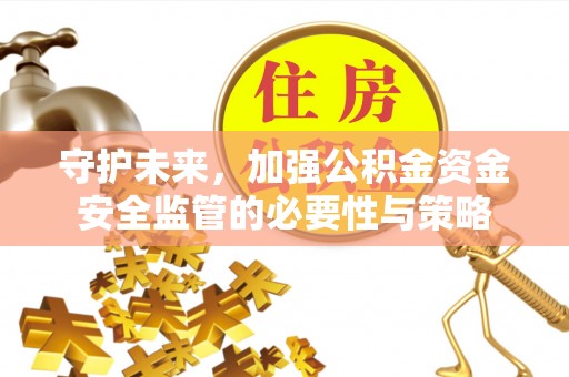 临沧守护未来，加强公积金资金安全监管的必要性与策略