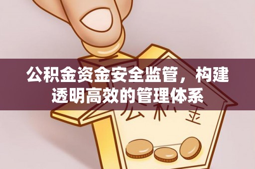 临沧公积金资金安全监管，构建透明高效的管理体系