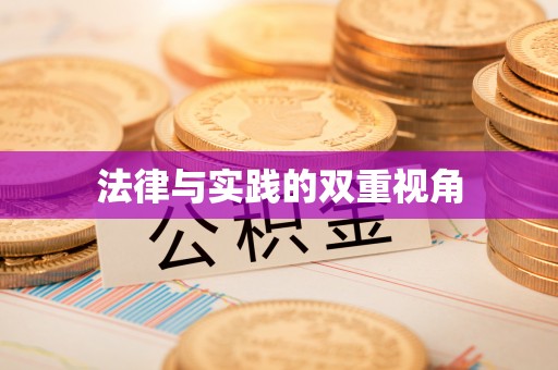 临沧法律与实践的双重视角
