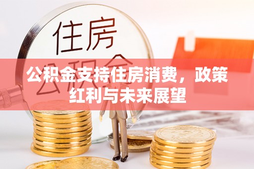 临沧公积金支持住房消费，政策红利与未来展望
