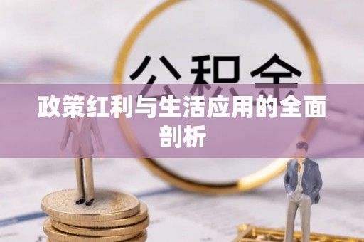 临沧政策红利与生活应用的全面剖析