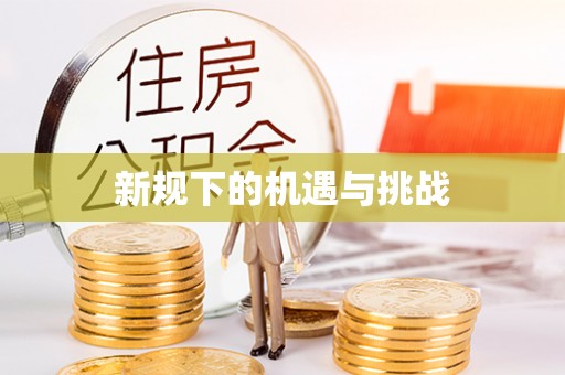 临沧新规下的机遇与挑战