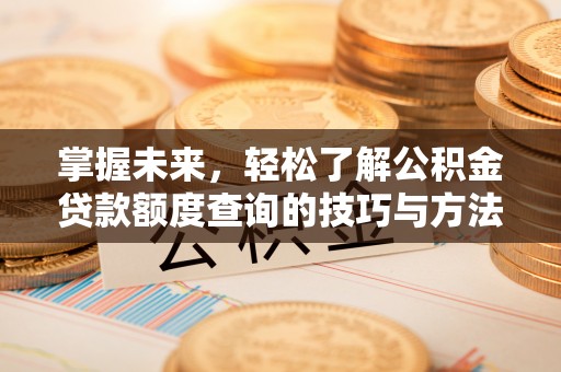临沧掌握未来，轻松了解公积金贷款额度查询的技巧与方法