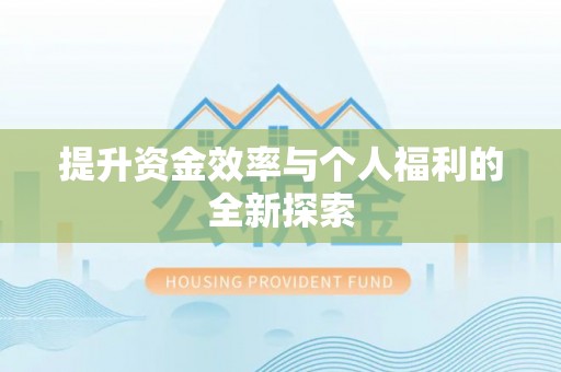 临沧提升资金效率与个人福利的全新探索
