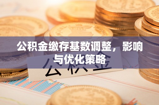 临沧公积金缴存基数调整，影响与优化策略