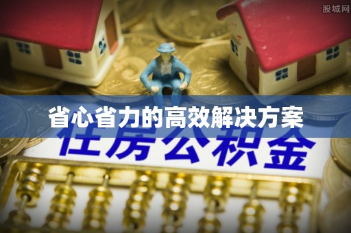 临沧省心省力的高效解决方案