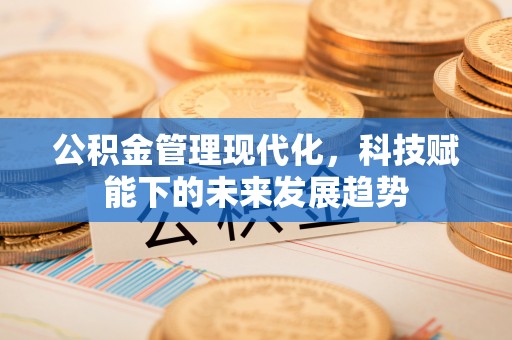 临沧公积金管理现代化，科技赋能下的未来发展趋势